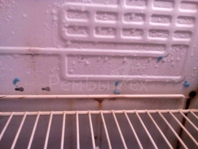 Почему в холодильнике намерзает снег. Задняя стенка холодильника. Решетка задней стенки холодильника. Задняя стенка холодильной камеры. Намерзает задняя стенка снаружи холодильника.