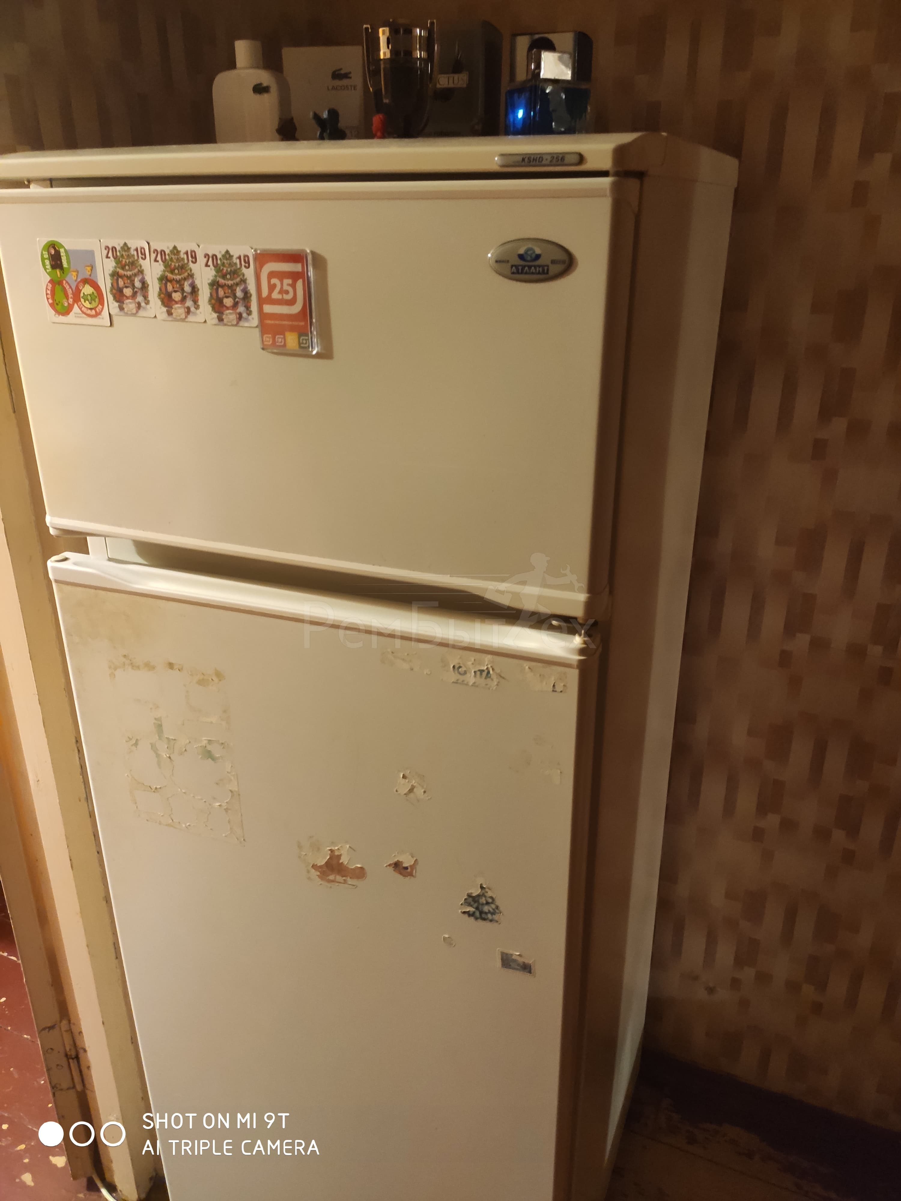 Гудит холодильник атлант
